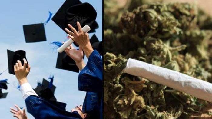 SOSOK SAW, Nganggur Setelah Lulus S2 Pilih Jadi Kurir Ganja, Kini Terancam 20 Tahun Penjara