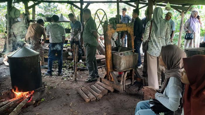 STUDI BANDING pengolahan gambir pakpak bharat