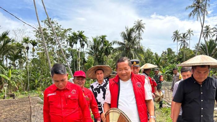 Sebagai langkah menanam kedaulatan pangan.