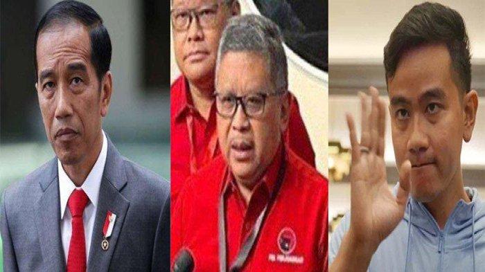 TKN Sindir PDIP yang Pecat Jokowi dan Gibran Tapi Tak Mau Tarik Kadernya dari Kabinet:Yang Jantanlah