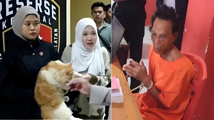 Sujadi Sembelih 100 Ekor Kucing, Moci Hampir Disembelih, Ini Bahaya Mengonsumsi Daging Kucing