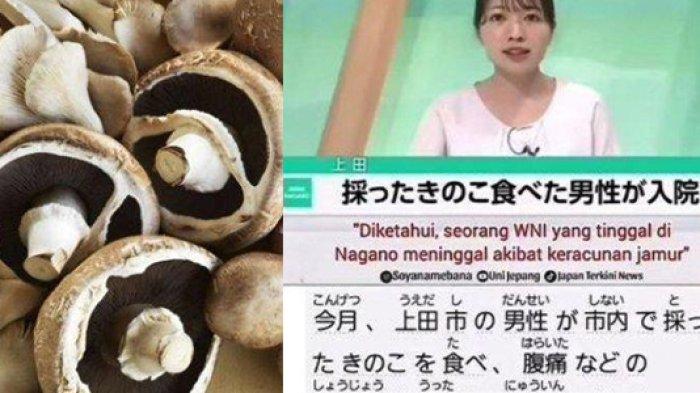 SOSOK Aji Kurniawan TKI Tewas di Jepang Usai Makan 30 Jamur, Sempat Ditangani 3 Instansi Kesehatan