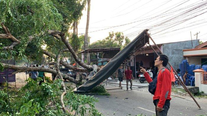 Pohon Tumbang Porak-porandakan Tenda Pelayat di Jalan Menteng Medan, Akses Jalan Tertutup