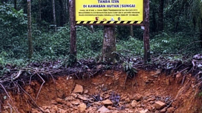 VIRAL di Media Sosial Dua Warga Ditangkap karena Gali Emas di Tanah Sendiri, Ini Penjelasan Hukumnya