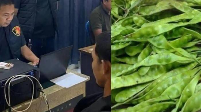 PILU Zulkarnain Tewas Ditembak Usai Curi Petai, Pemilik Kebun Kini Terancam 15 Tahun Penjara