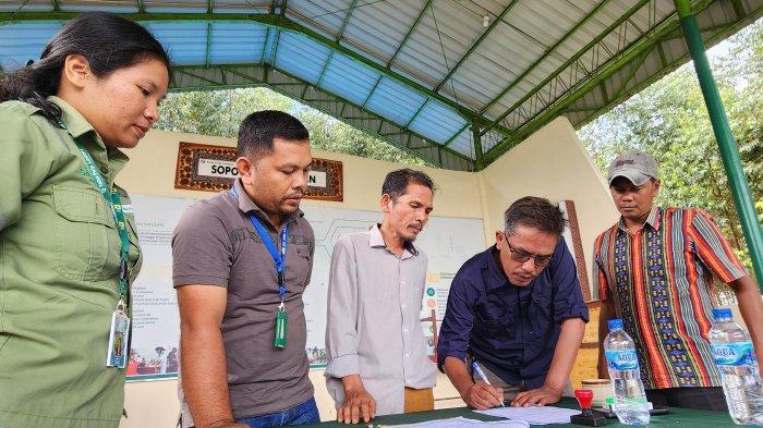 TPL Berkolaborasi dengan SSB Putra Lestari, Gelar Turnamen Dukung Bakat Anak dan Remaja Parmaksian