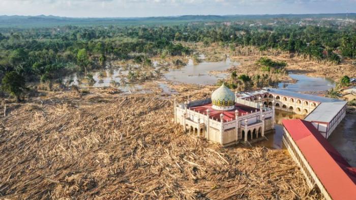 TUMPUKAN KAYU di aceh tamiang