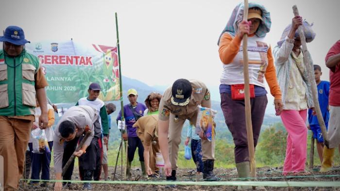 Tanam jagung bersama di Pakpak Bharat