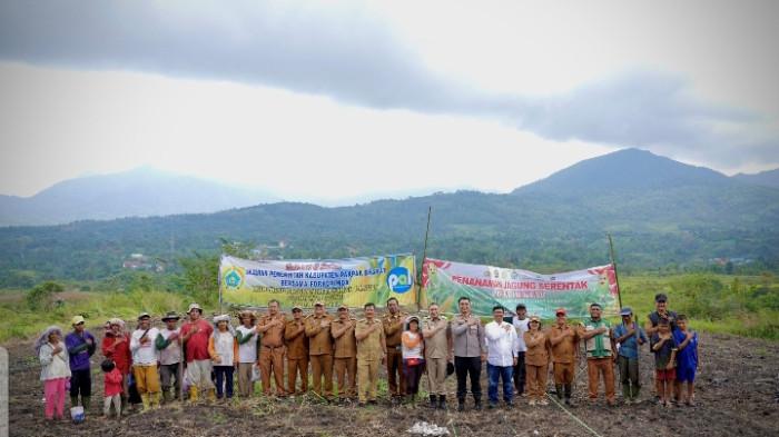 Tanam jagung bersama di Pakpak Terbaru