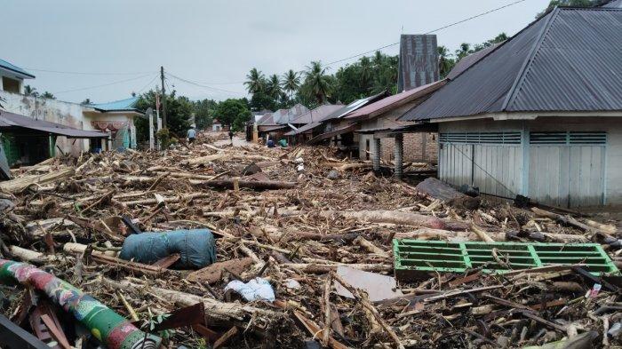 Terjangan banjir bandang melanda Kabupaten Tapanuli Selatan. Air bah dengan batang-batang kayu hutan menyapu empat desa, tepatnya di Kota Tua, Harean, Sisoma dan Simaninggir, Kecamatan Tano Tombangan Amgkola, sejak Rabu hingga Kamis (19/12/2024).