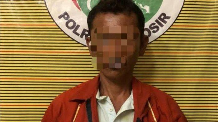 Polres Samosir Ringkus Tersangka Kasus Narkoba, Polisi Temukan Ganja di Saku Celana