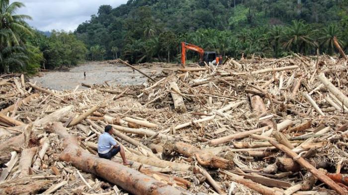 Warga mengamati sampah kayu gelondongan pasca banjir bandang di Desa Aek Garoga, Kecamatan Batang Toru, Kabupaten Tapanuli Selatan, Sumatera Utara, Sabtu (29/11/2025). Sampah kayu gelondongan tersebut menumpuk di pemukiman warga dan sungai pasca banjir bandang pada Selasa (25/11/2025). (TANGAKAPAN LAYAR KOMPAS.COM/ANTARA FOTO/YUDI MANAR)