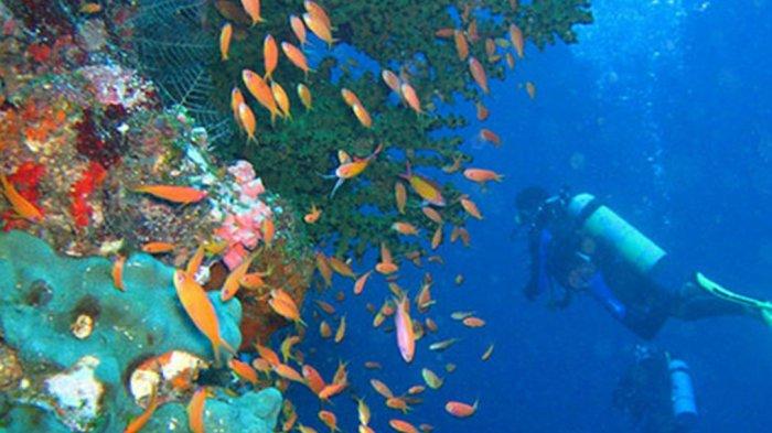 Wisata Pulau Bogi, Lokasi yang Tepat untuk Diving dan Surfing