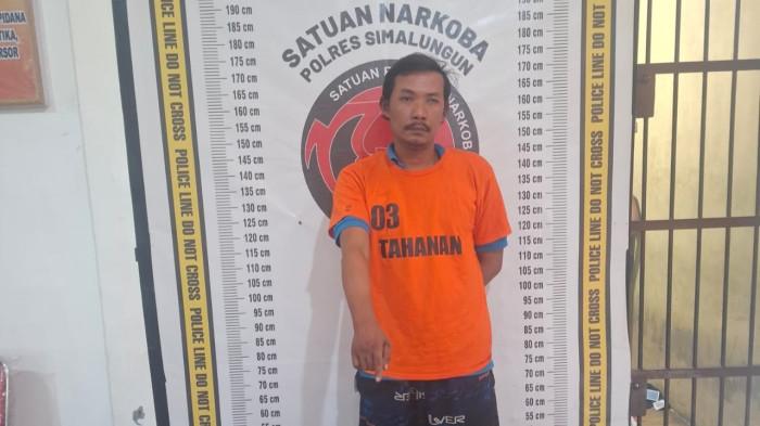 Bawa Sabu dari Pematangsiantar, Bandar Narkoba Asal Binjai Diciduk Sat Narkoba Polres Simalungun