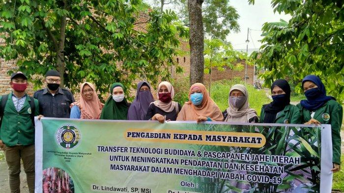 LPPM USU Dampingi Pelaku UMKM Budidaya Jahe Merah