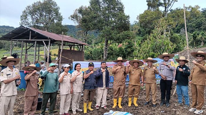 bumdes penanaman jagung di tinada