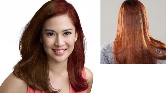 TERUNGKAP Dian Sastro Ingin Bunuh Diri Berulang Kali karena Alami Hal Ini,Istri Maulana Sutowo Takut