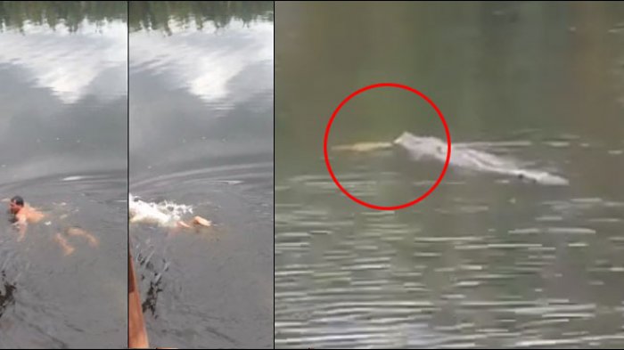 Pergi Cari Ikan ke Sungai, Warga Sumsel Hilang Diterkam Buaya, Sempat Teriak Minta Tolong