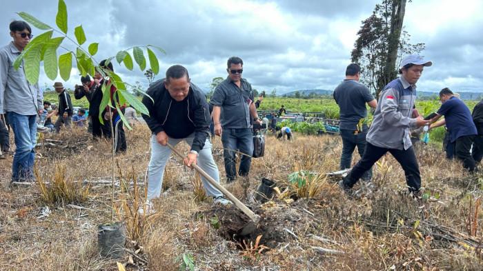 Ketua DPD PDI Perjuangan Sumatera Utara, Rapidin Simbolon, menggali lubang untuk penanaman pohon di Desa Partungko Naginjang, Kecamatan Harian, Kabupaten Samosir, Sabtu (28/3/2026), sebagai bagian dari aksi nyata pemulihan hutan di kawasan Danau Toba.