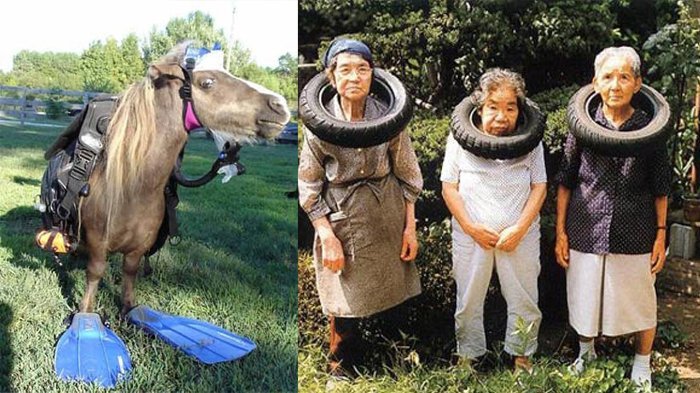 Parade Foto Ini Sanggup Bikin Kamu Gagal Paham, Bingung Meski Dilihat Berkali-kali