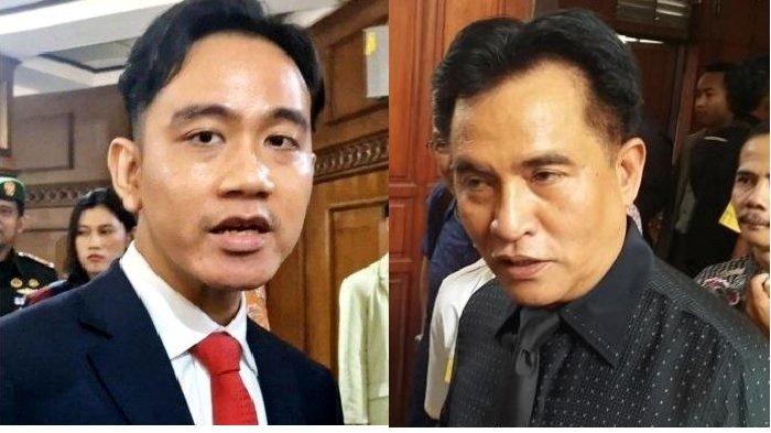 Fakta Sebenarnya Gibran Ditugaskan Berkantor di Papua, Yusril: Bukan Pindah, Pimpin Badan Khusus
