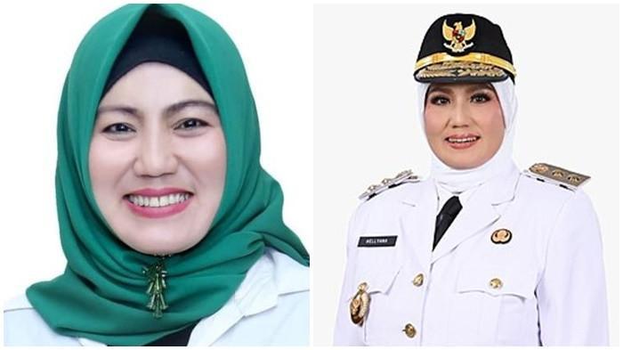 WAGUB BABEL - Wakil Gubernur Bangka Belitung (Babel) Hellyana 