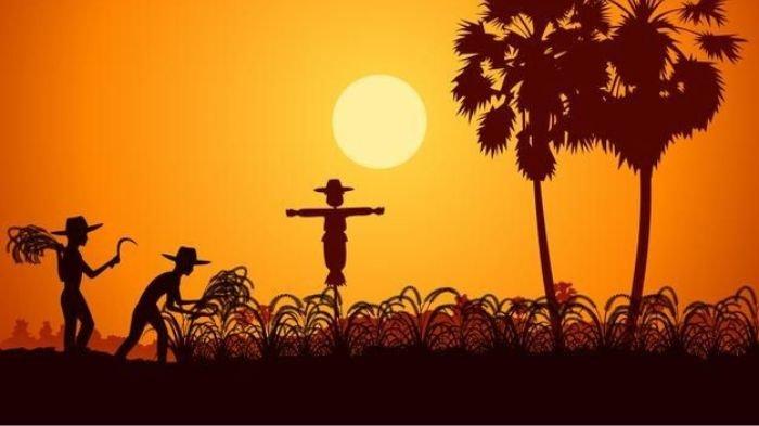 PANEN PADI- Ilustrasi dua orang petani tengah memanen padi di sawah.