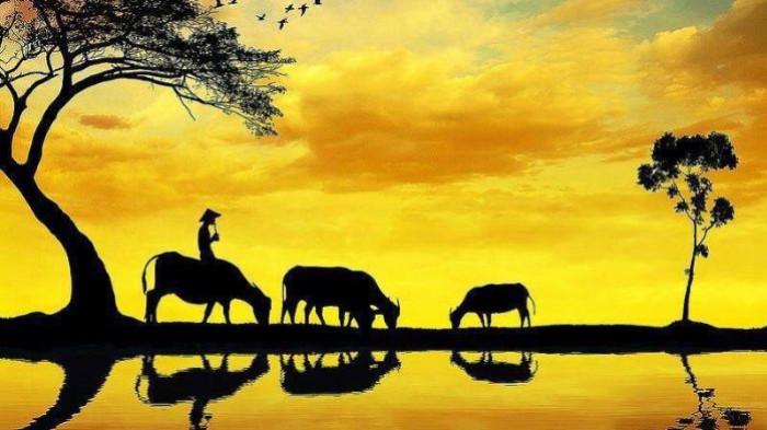 PENGGEMBALA- Ilustrasi seorang penggembala kerbau tengah membawa ternaknya di sebuah kawasan pinggiran sawah yang dekat dengan aliran sungai.