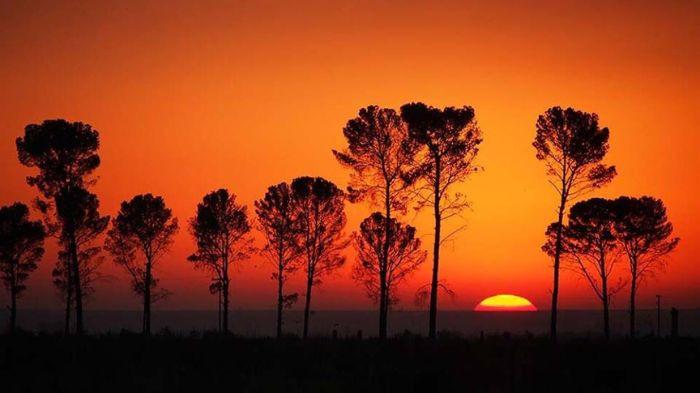 PANORAMA- Ilustrasi potret panorama alam saat ,atahari akan tenggelam.