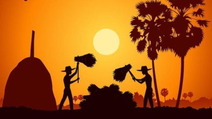 PANEN- Ilustrasi dua orang petani sedang melakukan aktivitas panen padi.(Pinterest/Freepik)