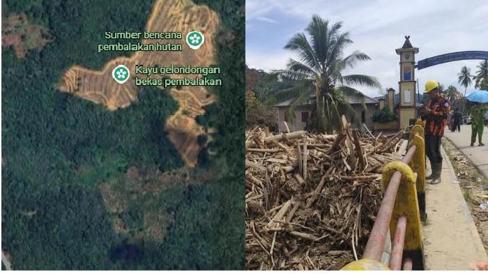 KAYU GELONDONGAN - Penampakan hutan gundul di Muara Sibuntuon, Sibabangun, Tapteng. Kuat dugaan kayu gelondongan banjir bandang Batangtoru berasal dari daerah ini.