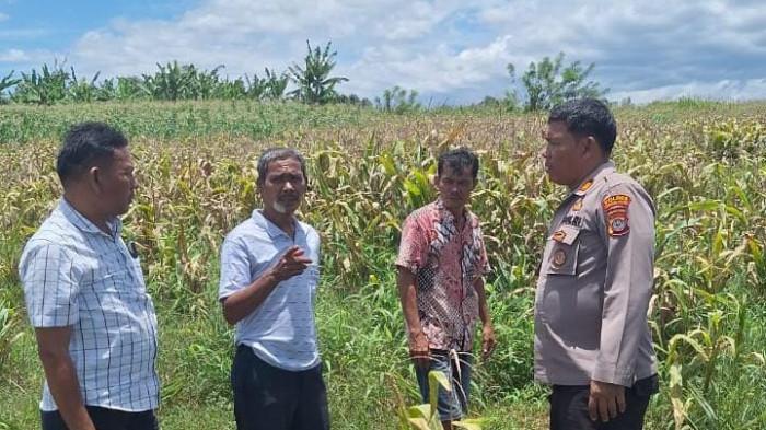 Dukung Ketahanan Pangan, Kapolsek Siantar Marihat Tatap Muka dengan Warga Simarimbun