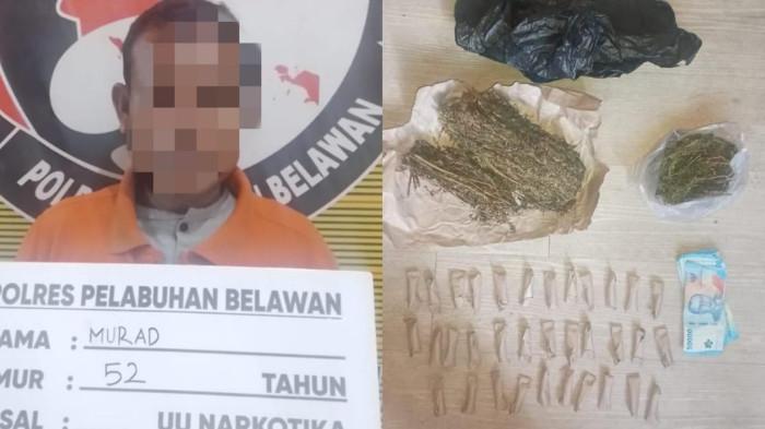 Polres Belawan Ciduk Pengedar Ganja di Nelayan Indah, Disergap di Kontrakan