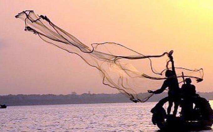 Ekspor Perikanan Vietnam Kalahkan Indonesia, Padahal Hasil Laut Indonesia Jauh Lebih Besar, Kenapa?