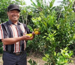 Dampak Positif Bantuan CSR, Toba Pulp Lestari Kembangkan Ekonomi Masyarakat