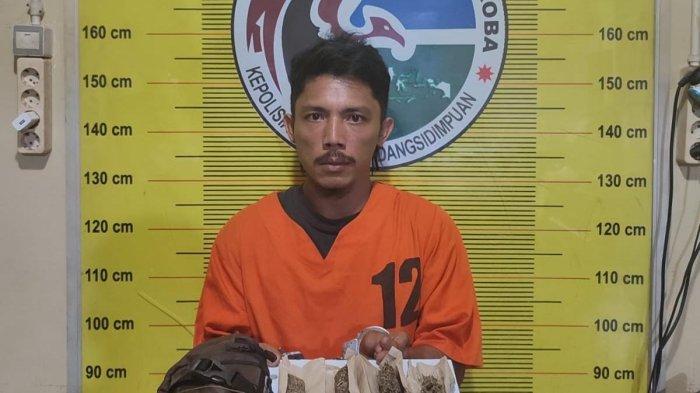Edarkan Daun Ganja seorang Supir dibekuk Sat Sat Resnarkoba Polres Padangsidimpuan