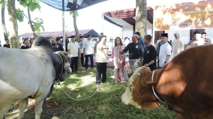 Polda Sumut Salurkan Ribuan Paket Daging Kurban, 220 ekor sapi dan 83 ekor kambing