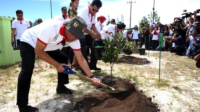 Punya Nilai Ekonomis yang Sangat Tinggi, Gubernur Edy Ajak Warga Tanam Macadamia