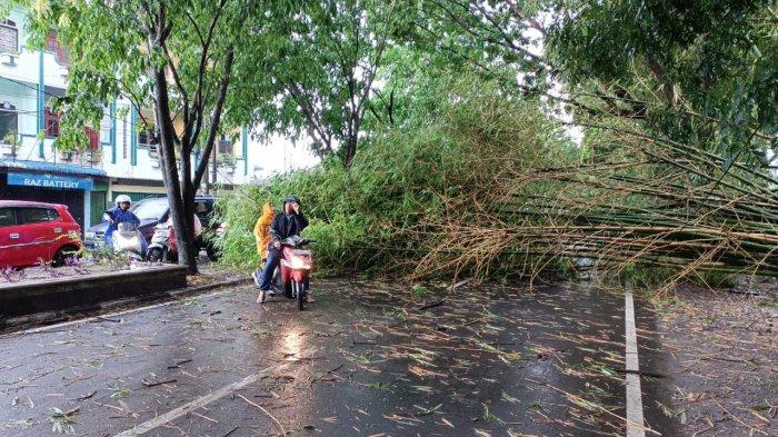 Pohon tumbang di Jalan Bunga Raya, Asam Kumbang, Kota Medan akibat cuaca buruk, Minggu (22/5/2022)
