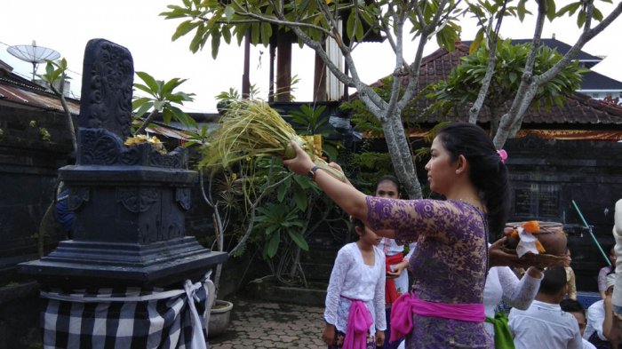 Ritual Mecaru, Persembahan Kepada Roh-Roh di Bawah Manusia
