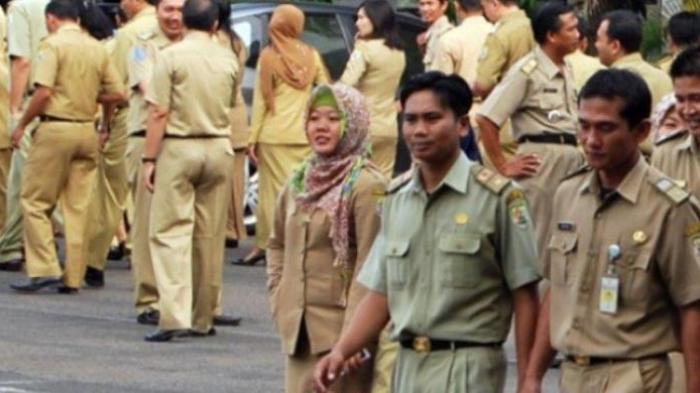 Pemerintah Buka Lowongan CPNS untuk Guru, Dokter, Bidan, dan Hakim