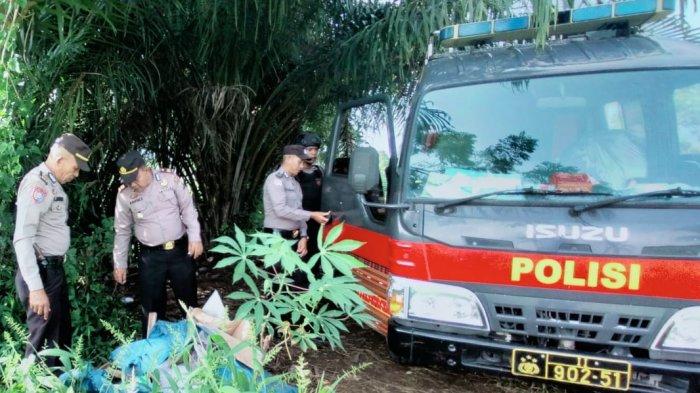 Komitmen Berantas Narkoba, Polres Padangsidimpuan Seser Lapak Sabu