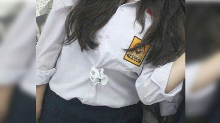 PILU Siswi SMP Dilecehkan 15 Kali Oleh Pria Kenalannya, Polisi: Tidak Ada Istilah 'Suka Sama Suka'