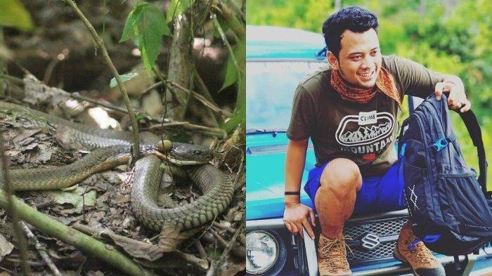 Har qanday porno janjal