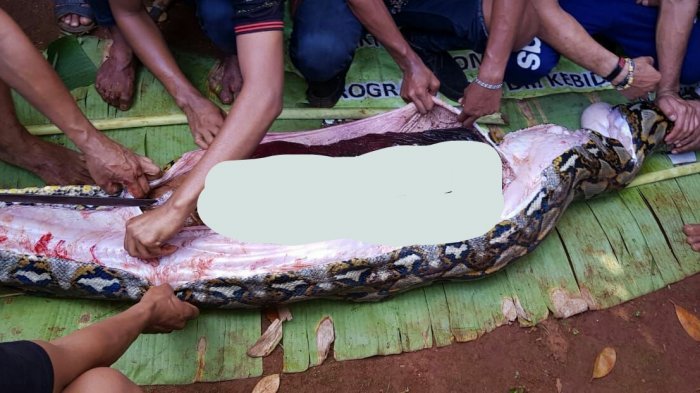 Syujetlar bilan rus porno Retro porno jinsiy aloqa mmf video