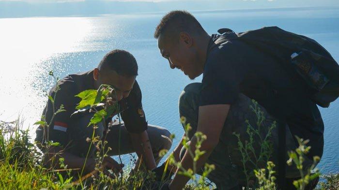 Wakil Bupati Dairi Jimmy Sihombing menanam pohon dan memungut sampah di Bukit Siattar Atas Kecamatan Silahisabungan, Kabupaten Dairi, Sabtu (11/7/2020). 
