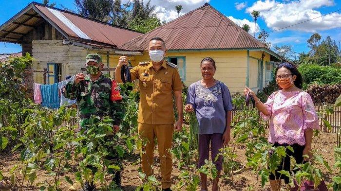Wakil Bupati Dairi, Jimmy Sihombing, menunjukkan hasil panen dari pemanfaatan pekarangan rumah di Desa Kalang Simbara, Kecamatan Sidikalang, Kabupaten Dairi, Selasa (9/6/2020). 
