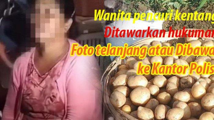 PENJELASAN Polisi soal Video Wanita Pencuri Kentang di Tapanuli Utara Ditawarkan Hukuman Telanjang
