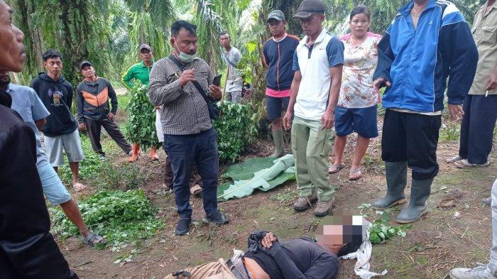Sempat Hilang, Sugianto Ditemukan Tewas Setelah Digigit Ular di Kebun Bahilang