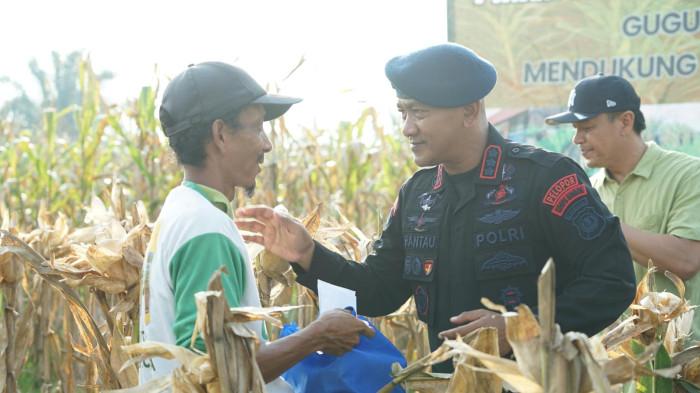 Brimob Polda Sumut Turun ke Sawah Dukung Ketahanan Pangan, Kombes Rantau Isnur Eka Pimpin Panen Raya